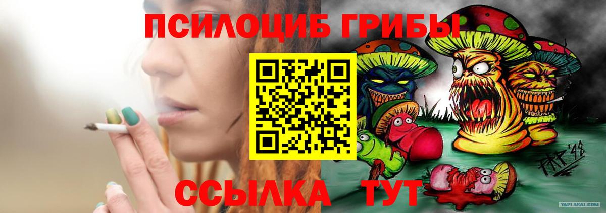 Галлюциногенные грибы GOLDEN TEACHER  Вход с VPN  купить   Избербаш 